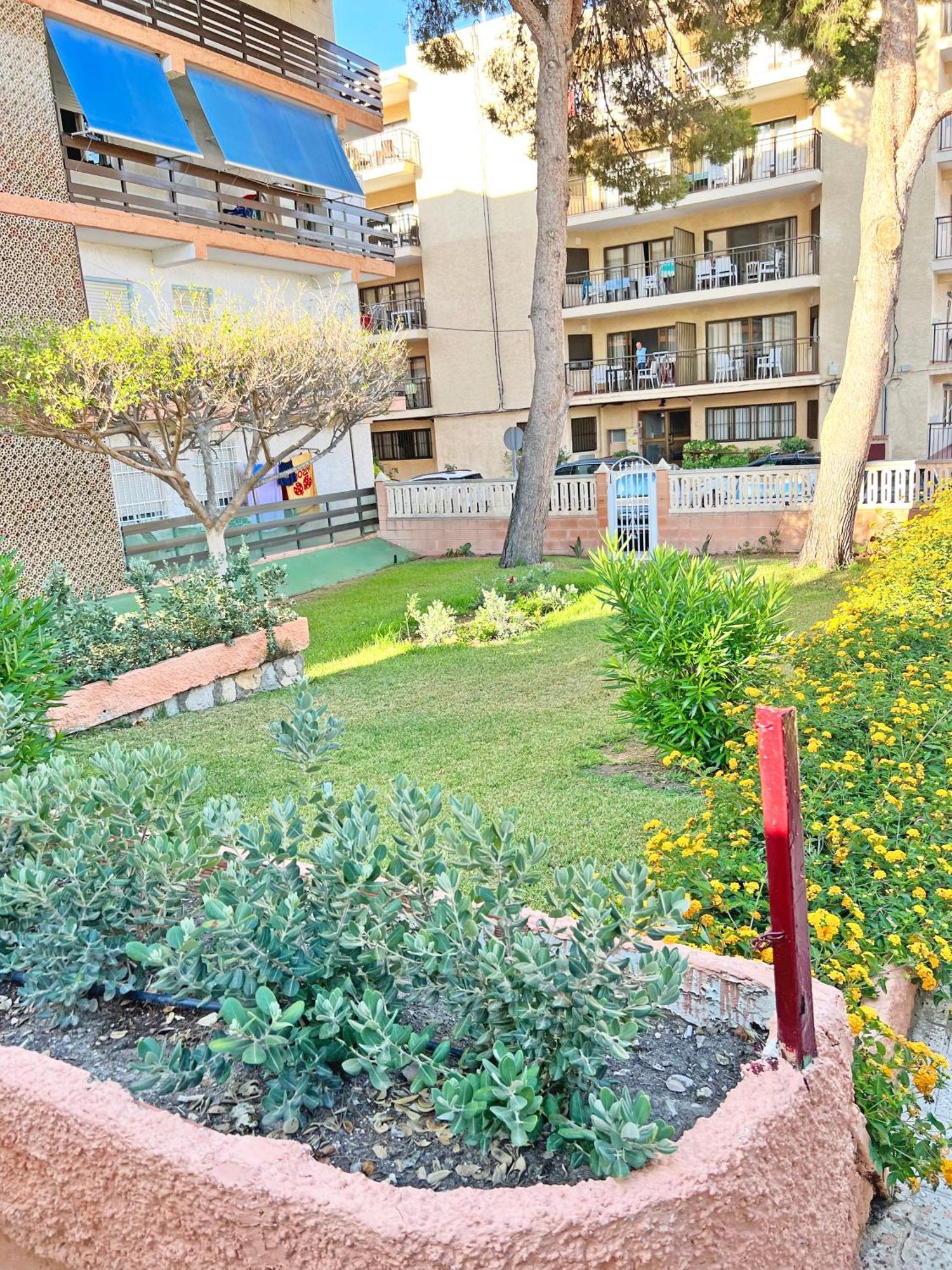 Coqueto Con Piscina, Nuevo A 50M Del Mar, Parking Gratis El Campello Exterior foto