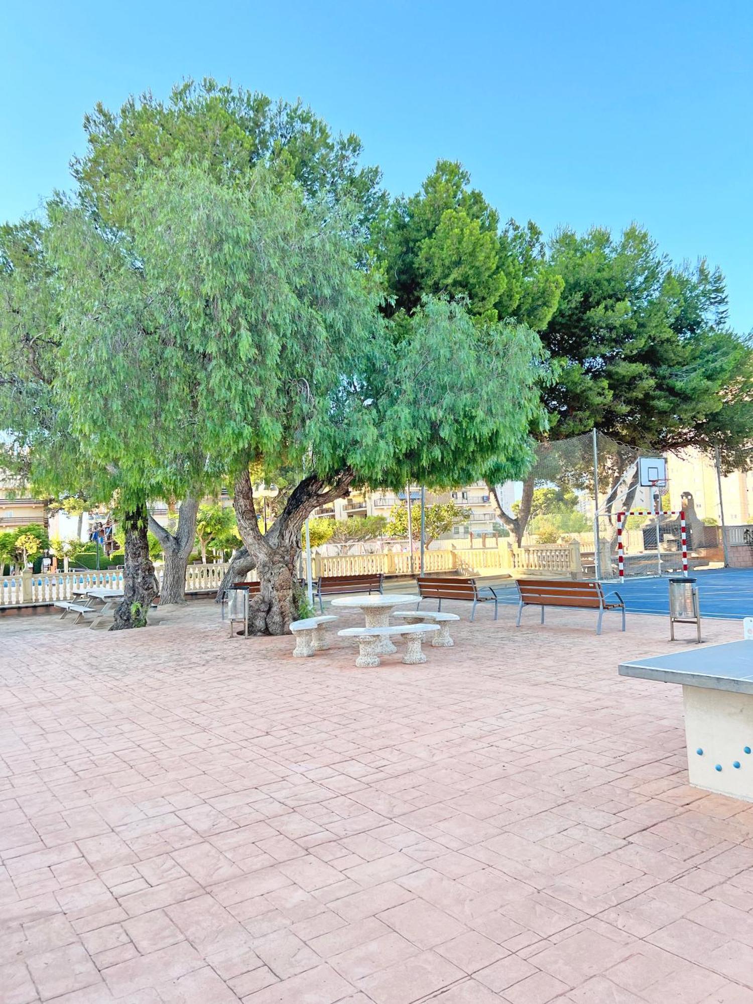 Coqueto Con Piscina, Nuevo A 50M Del Mar, Parking Gratis El Campello Exterior foto